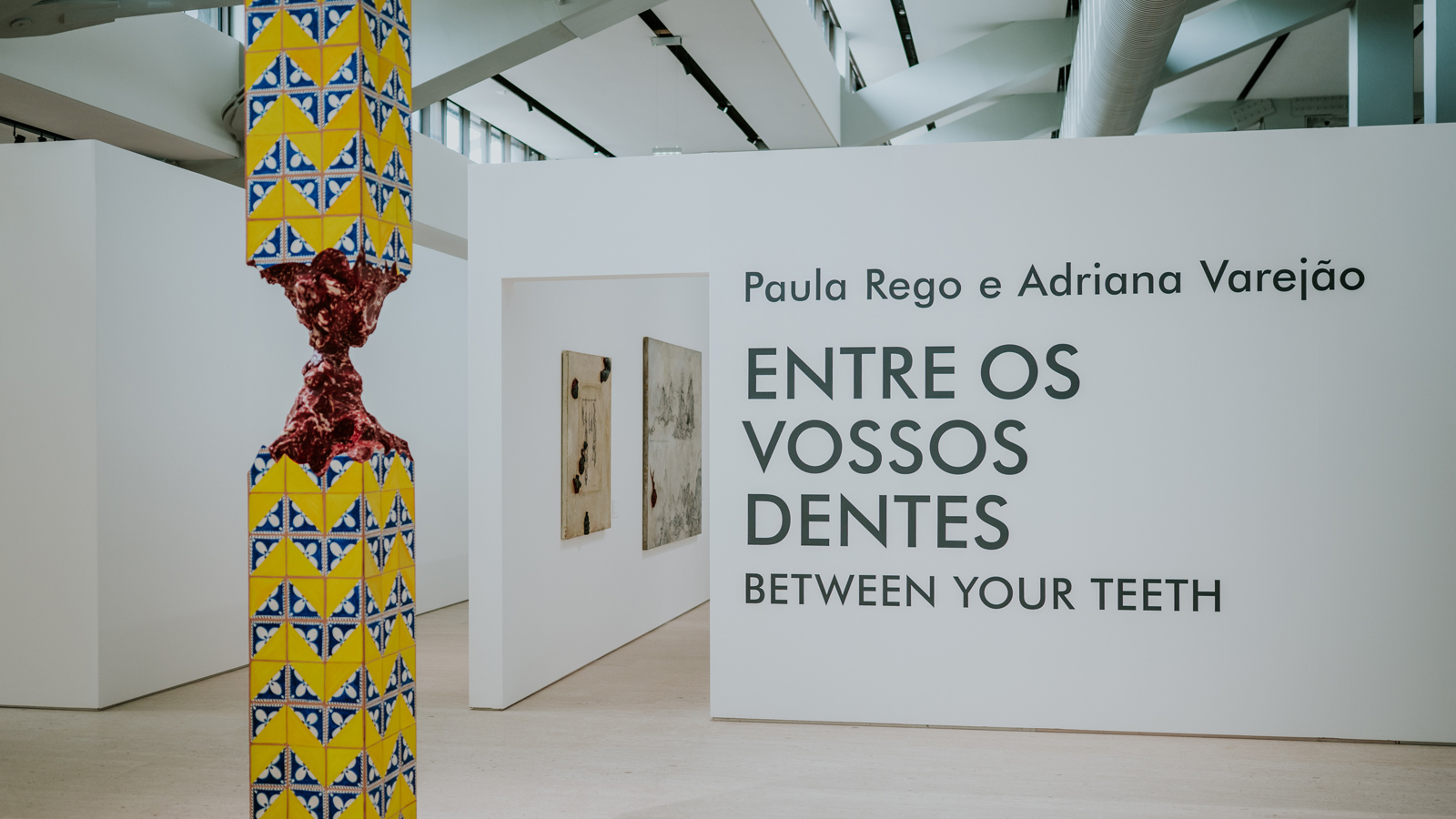 Paula Rego e Adriana Varejão - Centro de Arte Moderna
