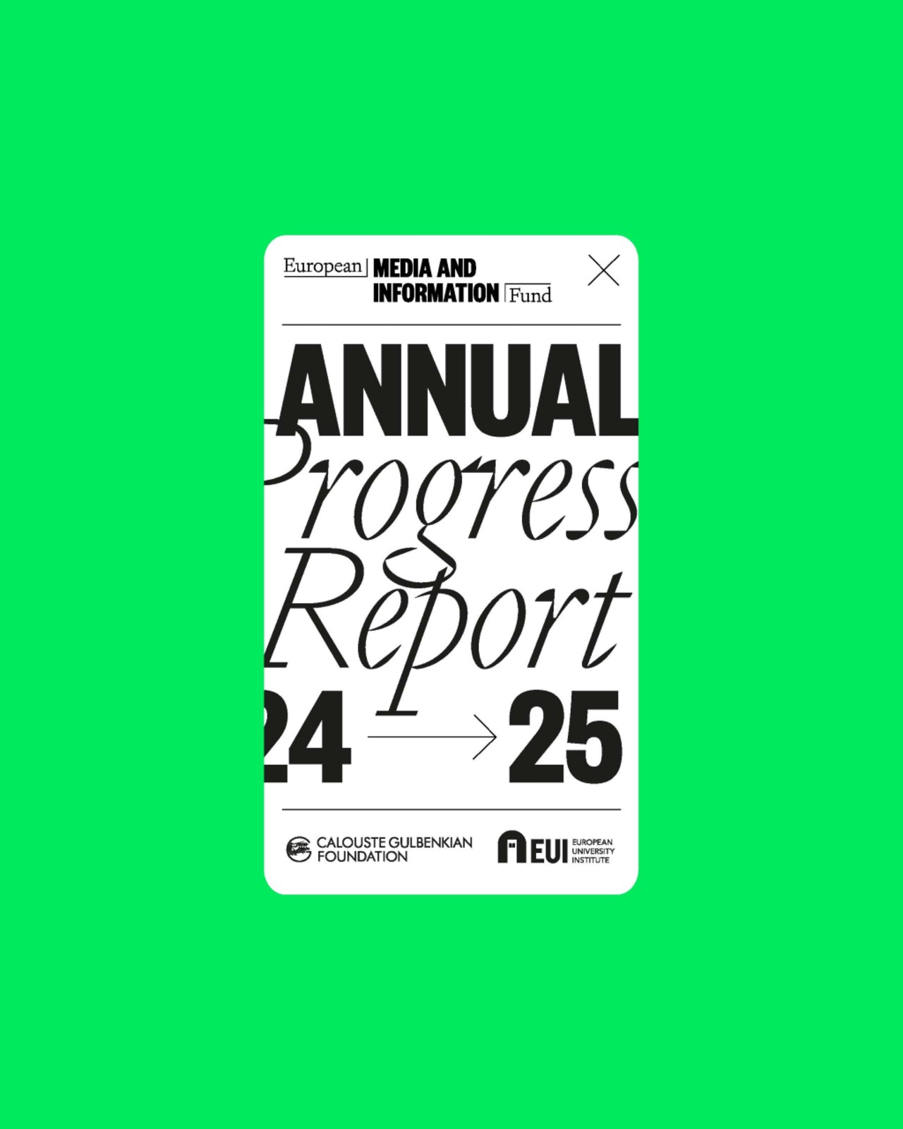 Annual Progress Report 2024/2025