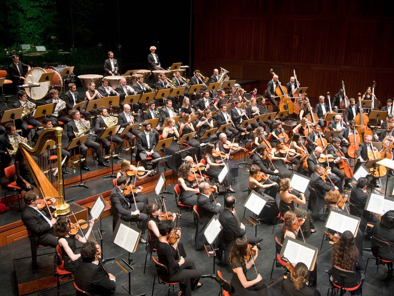 Audições para a Orquestra Gulbenkian
