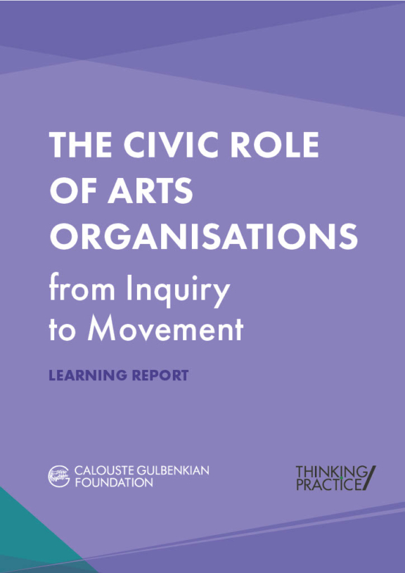 Front cover image for Civic Role learning report
