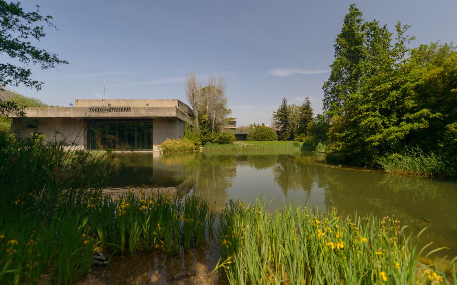 Stage Director Funda o Calouste Gulbenkian