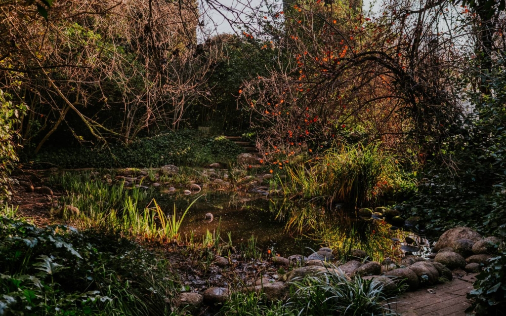 Gulbenkian Garden, a landscape masterpiece Fundação Calouste Gulbenkian