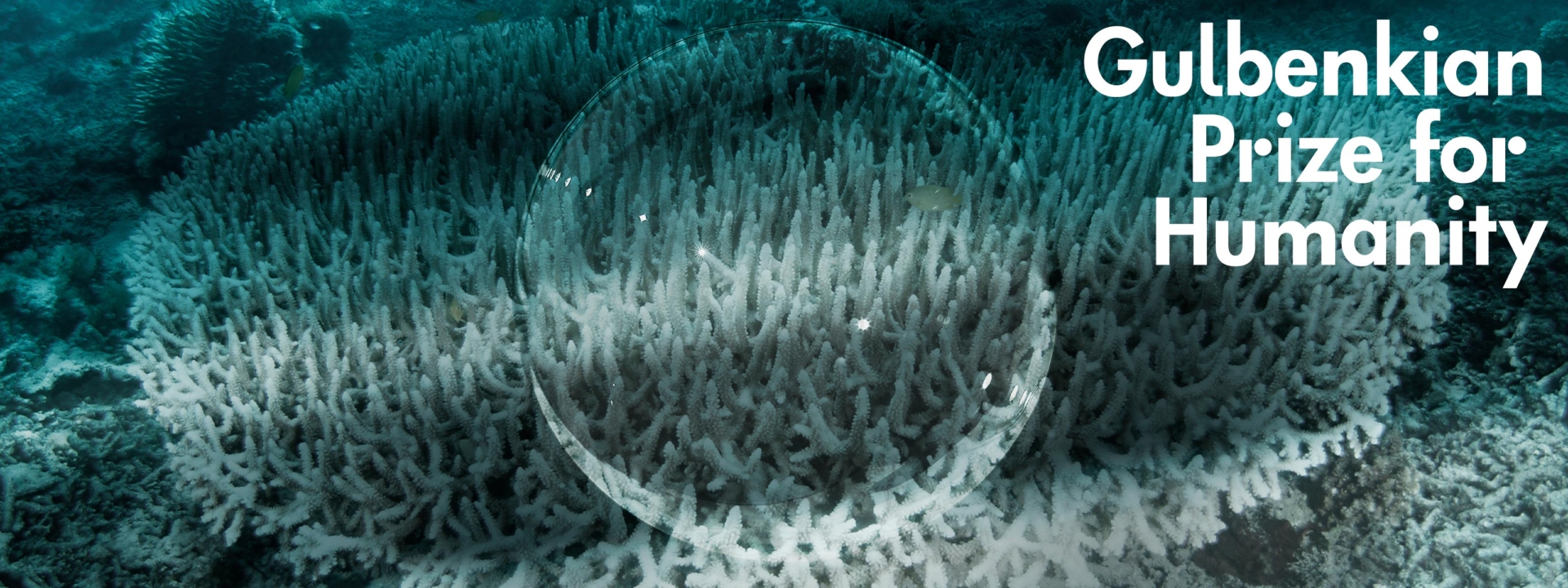 Calouste Gulbenkian Foundation