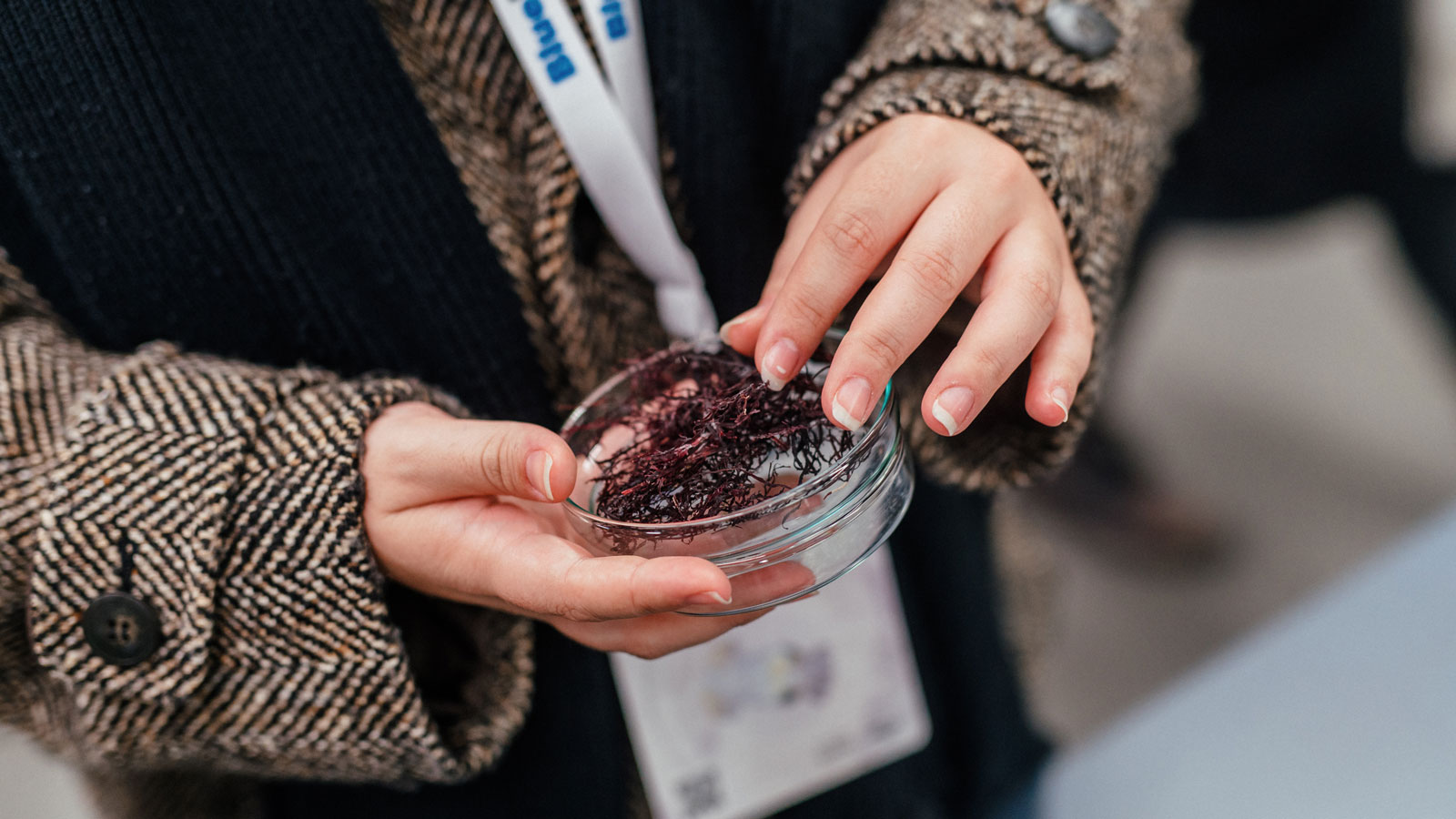 Participant holds a petri dish with a brown algae sample, during a field trip