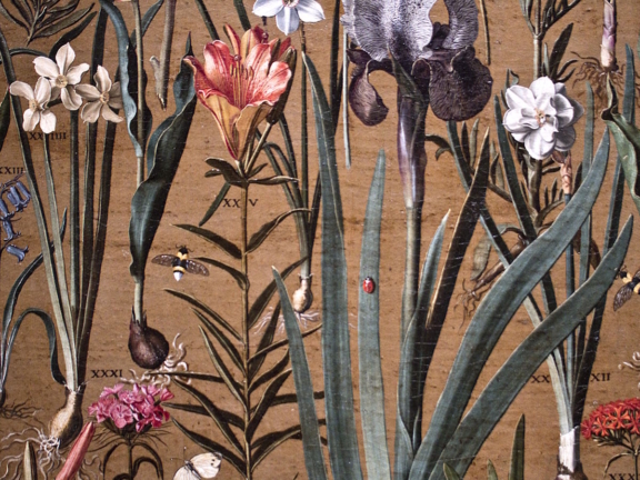 Academia Botânica no Jardim Gulbenkian