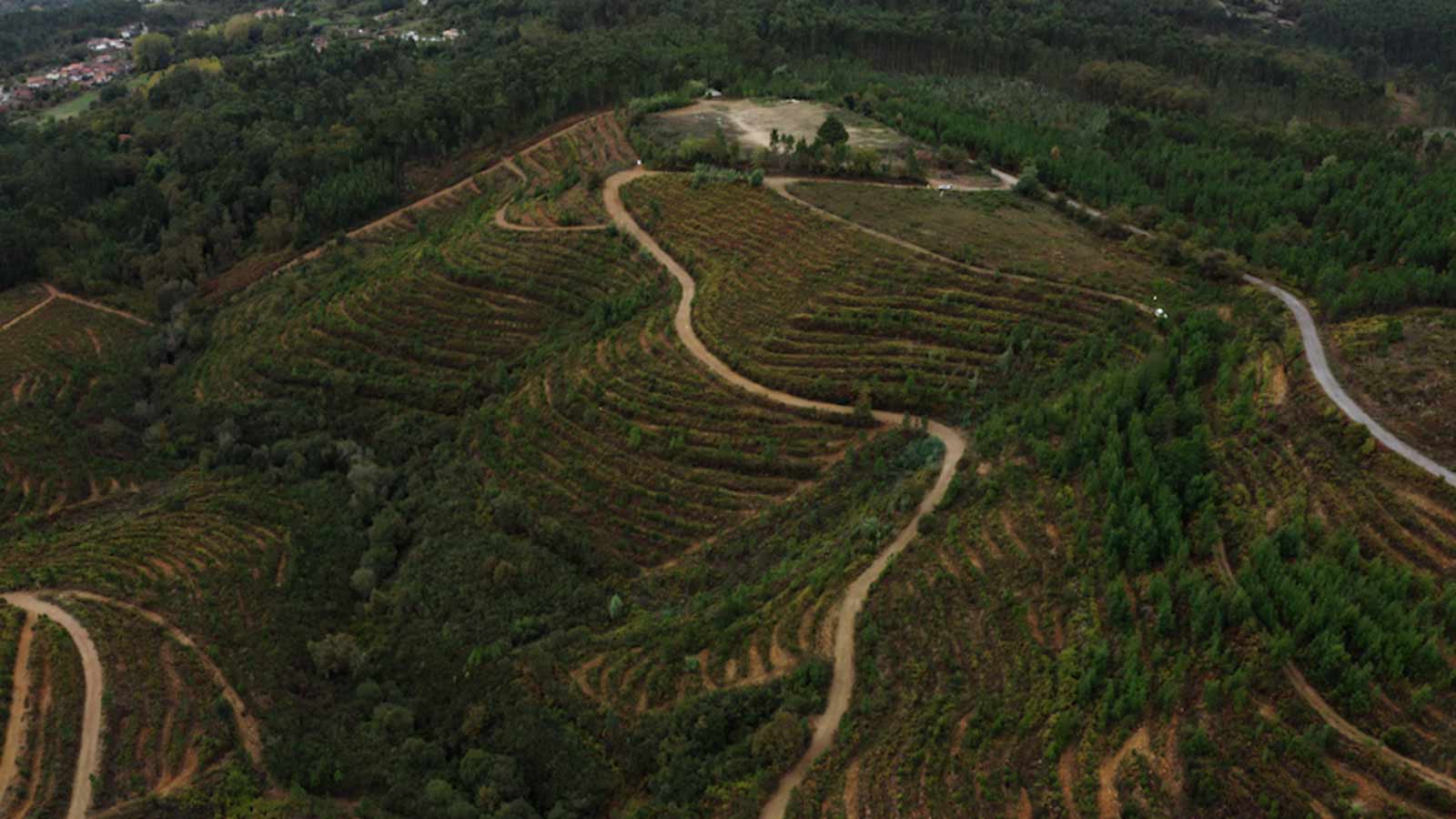 ANTARR: Reforesting the Future – Fundação Calouste Gulbenkian