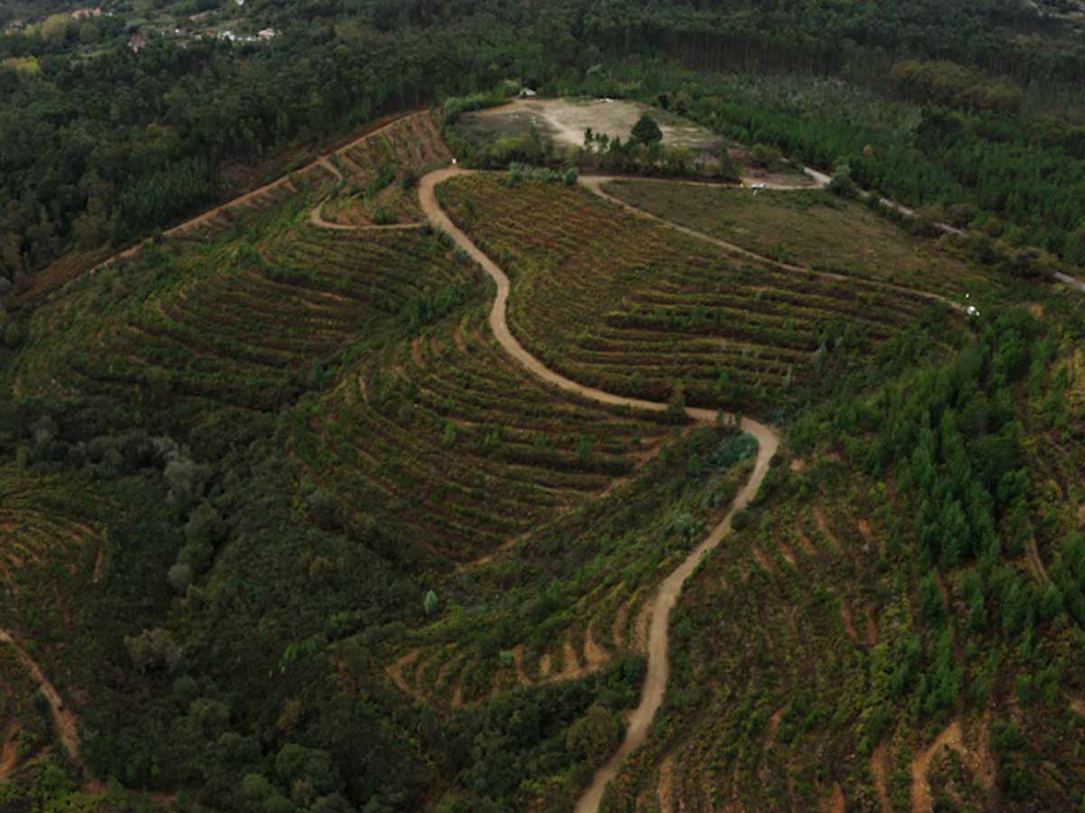 ANTARR: Reforesting the Future – Fundação Calouste Gulbenkian