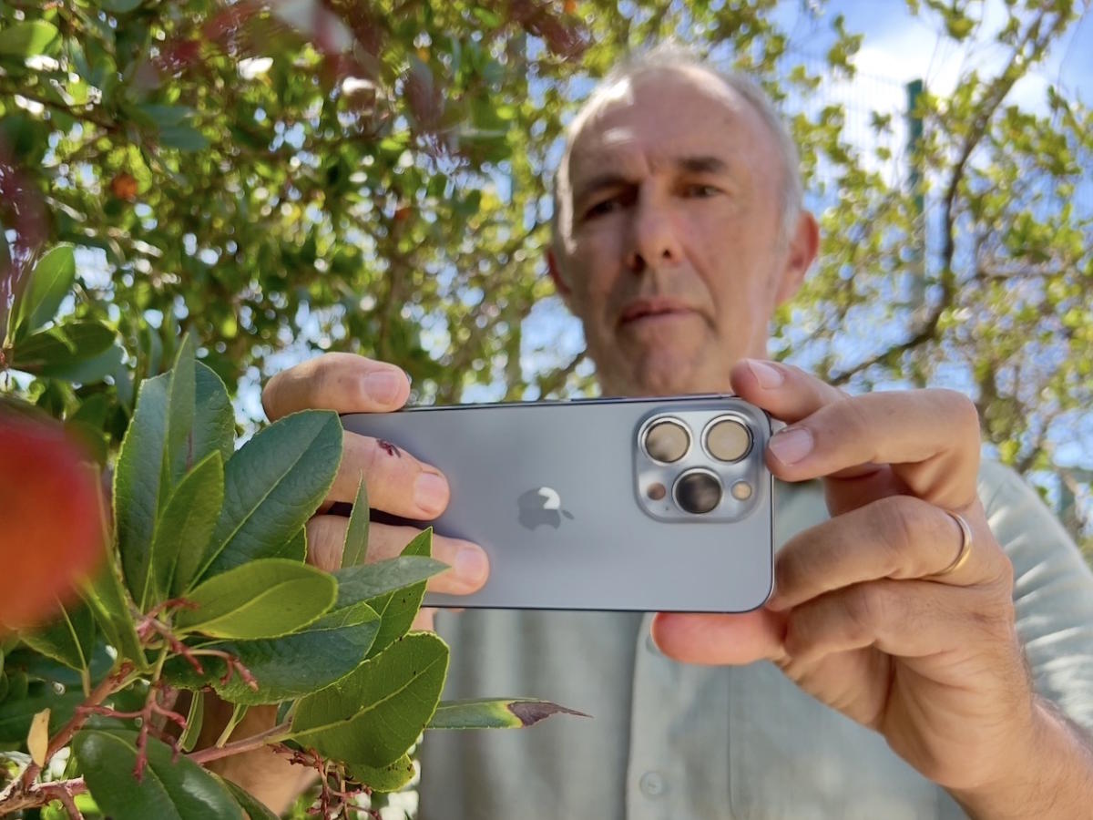 Fotografia de natureza com o telemóvel