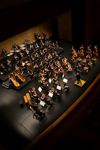 Orquestra Metropolitana de Lisboa