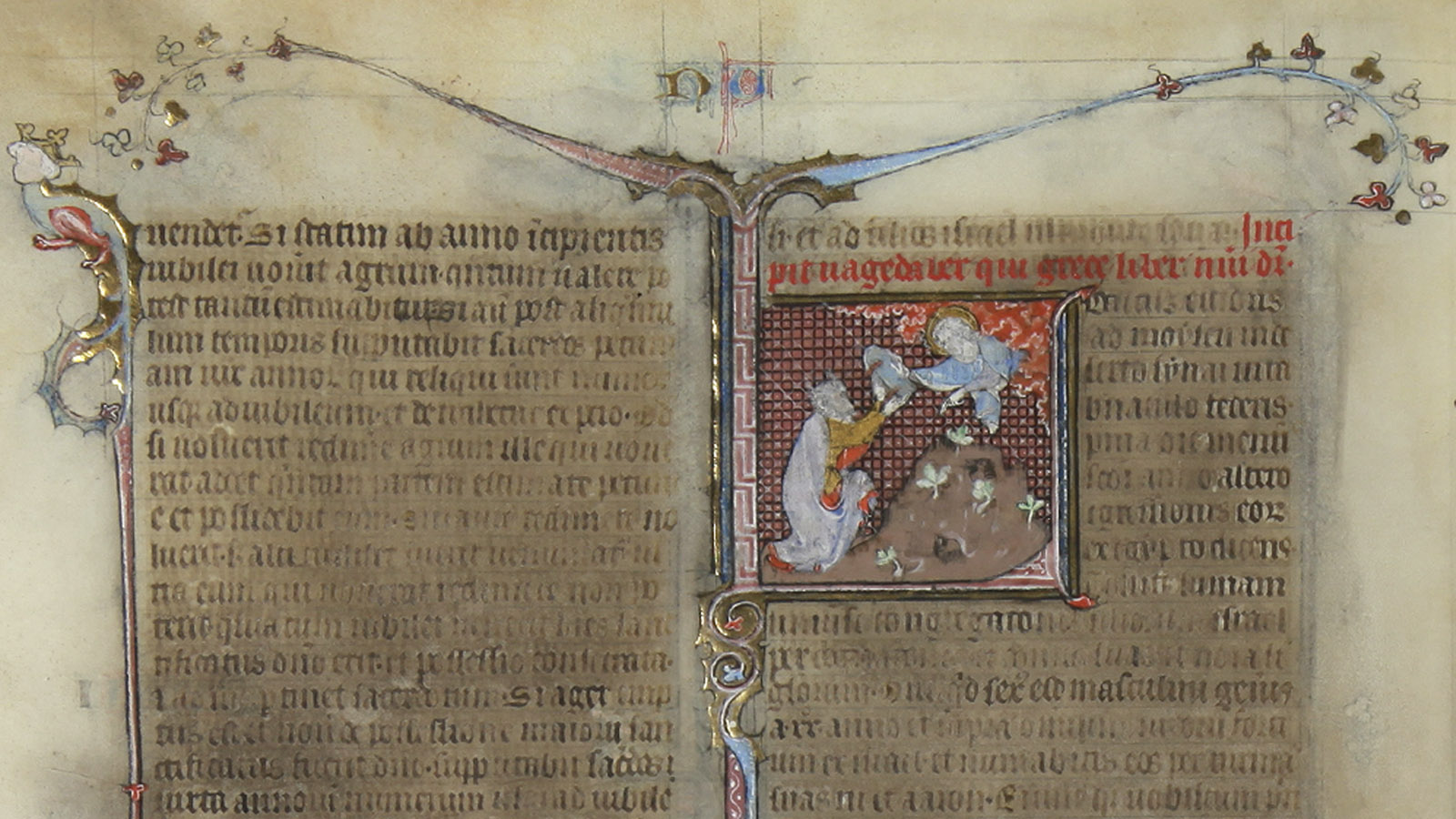 Bíblia Sagrada (Vulgata), fol. 46v (pormenor). Pinturas do Mestre da Bíblia de Jean de Papeleu, França, c. 1310-1320. Museu Calouste Gulbenkian.