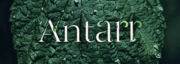 Homepage - Antarr